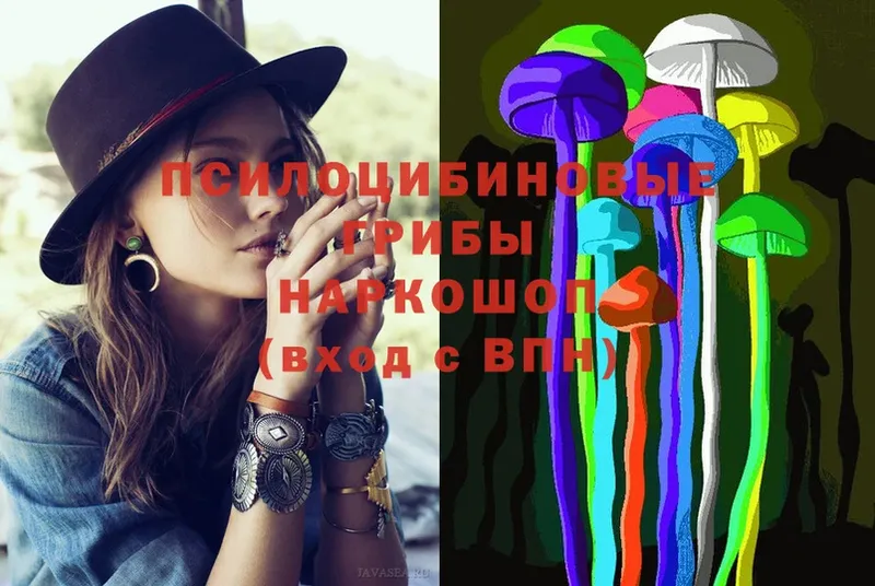 как найти   Аксай  Галлюциногенные грибы MAGIC MUSHROOMS 